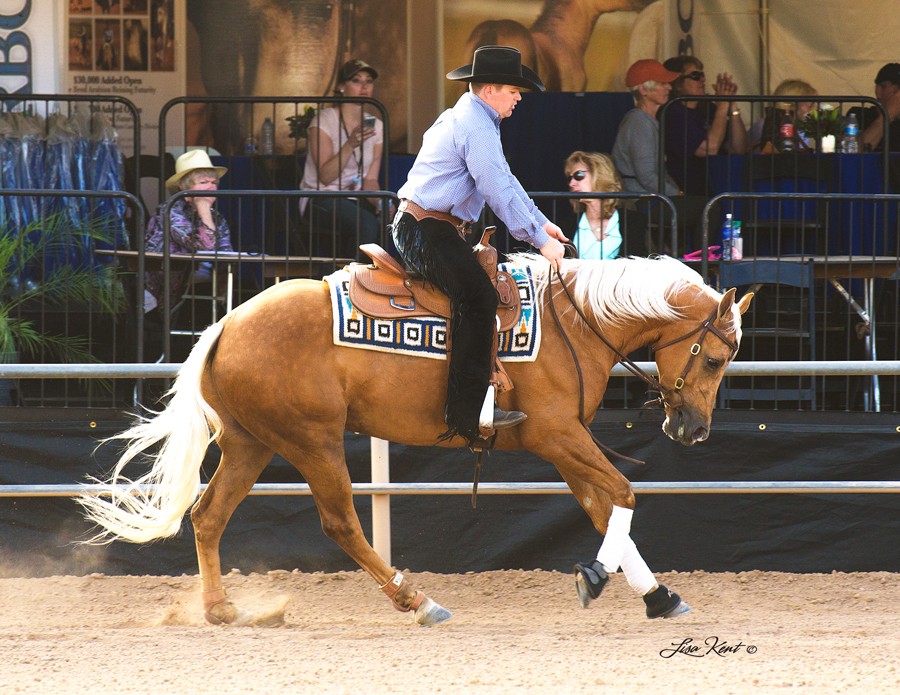 SH Playin It Cool | Half Arabian Reining Horse For Sale