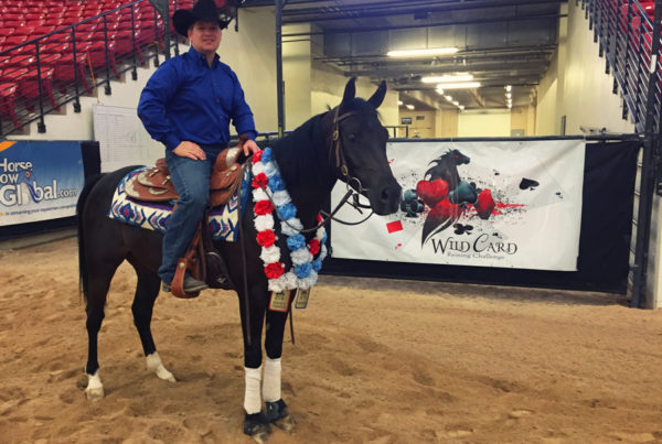 arabian reining wild card reining futurity