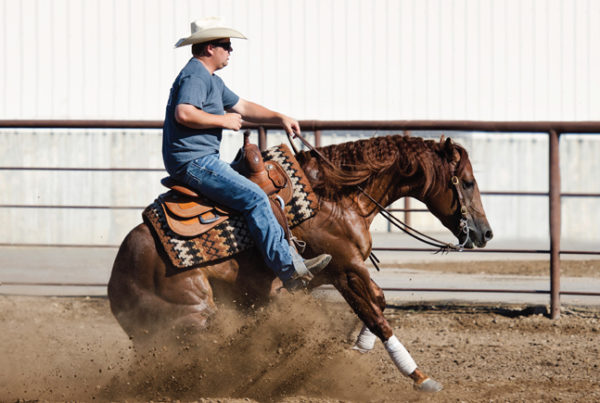Preston Kent Reining Trainer Clinic
